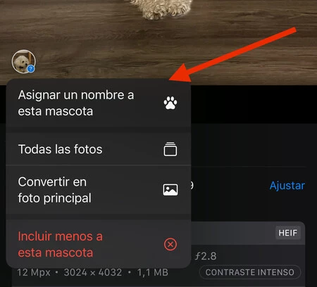iOS 17 ペットの iPhone 犬