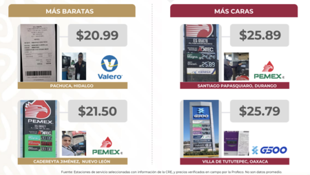 gasolina