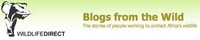 Blogs From The Wild