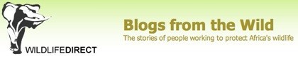 Blogs From The Wild