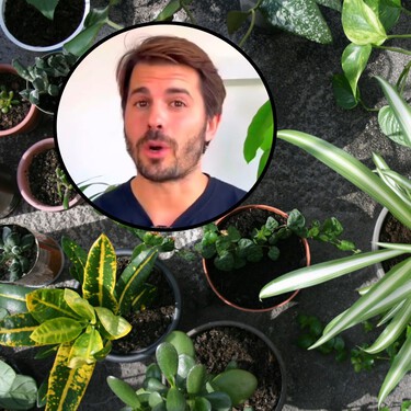 Álvaro Pedrera, experto en plantas: "Hay tres cosas letales que pueden acabar con tus plantas de interior en invierno"