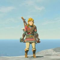 Cómo resistir al frío en Zelda Breath of the Wild