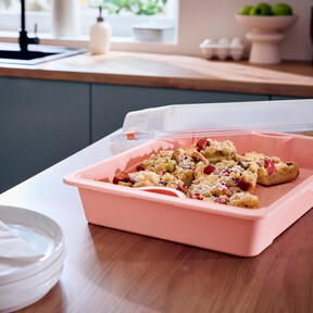 Este invento de Lidl es un tupper con aspiraciones de nevera portátil que mantendrá los alimentos fríos más tiempo 