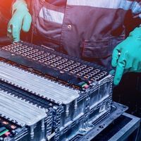 Espinacas y ruibarbo: la clave para reciclar las baterías de los coches eléctricos está en tu nevera