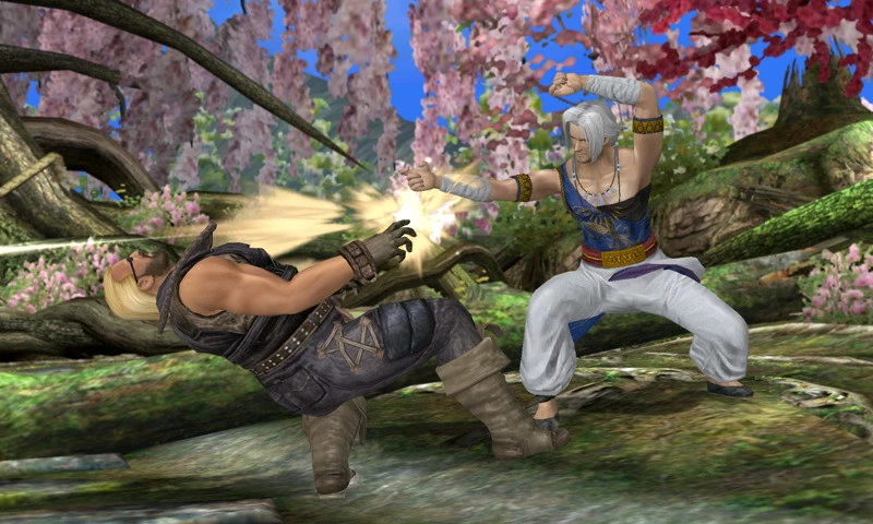 Foto de 300111 - DOA 3DS (combates) (20/29)