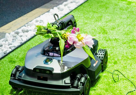 Nextlawn4