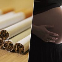Las tasas de fertilidad se han desplomado en todo el mundo. Hay un sospechoso desapercibido: el tabaco