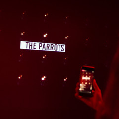 Foto 9 de 20 de la galería bershka-fiesta-inauguracion-a-coruna en Trendencias