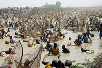 El Festival de la Pesca de Argungu (Nigeria)