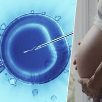 Congelar óvulos cuesta hasta 5.000 euros. Estos científicos proponen rejuvenecer los ovocitos para no tener que congelarlos 
