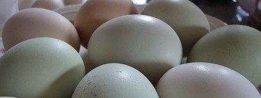 Déficit de vitamina D en bebés y niños