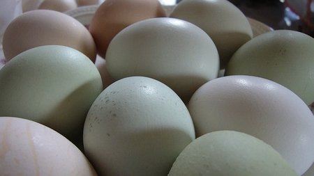 Déficit de vitamina D en bebés y niños