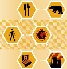 Científicos españoles buscan nuevos métodos para la detección de contaminantes en los alimentos