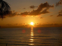 Suplemento de vitamina D para los bebés