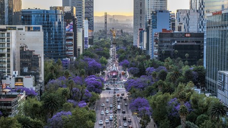 Cdmx Hoy No Circula 26 2026