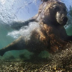 Foto 5 de 10 de la galería mundo-subacuatico en Xataka Foto