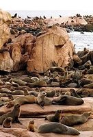 Uruguay: Punta del Este y sus playas de ensueño