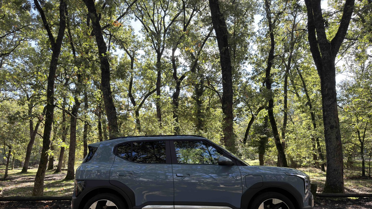 Lexus Partners article image