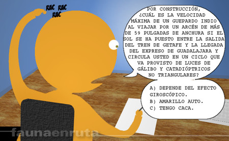 fauna en ruta: examen sorpresa