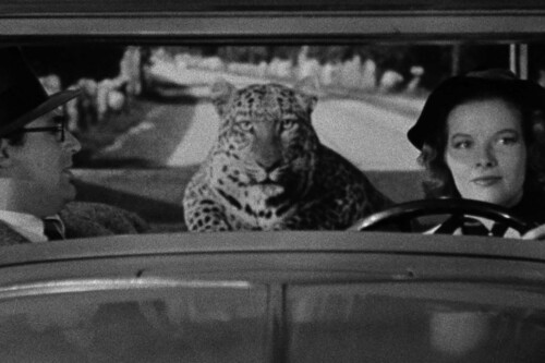 La Fiera De Mi Nina 1938 Cary Grant Katharine Hepburn