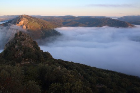 Parque Nacional De Monfrague 74