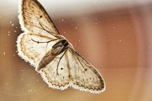 Mikkel Frimer Rasmussen Efuidj0agby Unsplash
