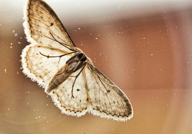 Mikkel Frimer Rasmussen Efuidj0agby Unsplash