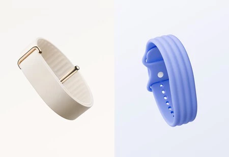Correas Fitbit Air Premium