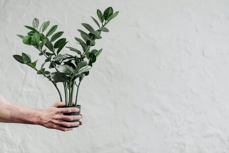 Pexels Rocketmann Prod 9507072