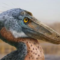 Descubren en México un dinosaurio sin precedentes: Xenovenator espinosai, el cazador de Coahuila que usaba la cabeza como arma 