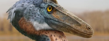 Descubren en México un dinosaurio sin precedentes: Xenovenator espinosai, el cazador de Coahuila que usaba la cabeza como arma 