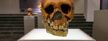 A extinção dos neandertais sempre foi um mistério; a ciência agora acredita que eles ainda estão entre nós 