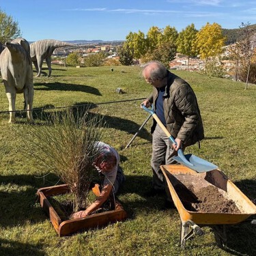 Serrat planta en Cuenca el arbusto de flores amarillas de su canción más conocida 