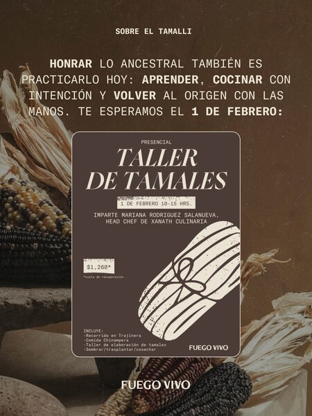 Esta es la experiencia para aprender a hacer tamales en una chinampa de Xochimilco: fechas, costos y todos los detalles