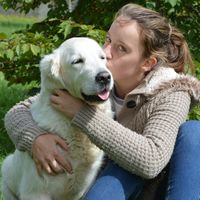 Mejoran la autoestima y rebajan la ansiedad: así benefician los perros de terapia a los adolescentes con trastornos alimentarios