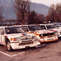 Amores que dejan huella: Un aficionado se acercó tanto a un coche de rally que los mecánicos encontraron dedos humanos dentro de un Peugeot 