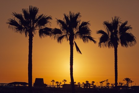 Fin De Ano Cerca De Casa Canarias
