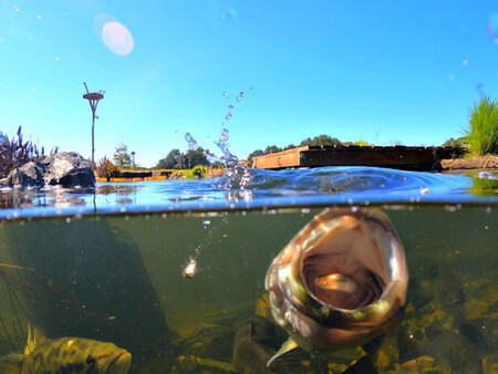 Lago Artificial