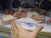 Testigos de Jehová prohíben transfusiones para salvar a sus bebés