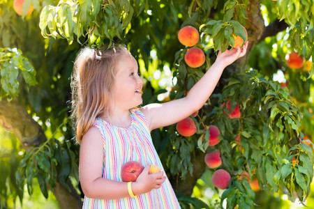 Alergia a las frutas rosáceas, una de las causas más frecuentes de anafilaxia: síntomas y tratamiento