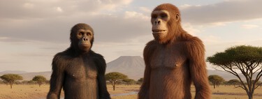 El pie fósil que podría reescribir nuestro árbol evolutivo: todo sobre el homínido olvidado que caminaba erguido junto a Lucy hace 3,4 millones de años 