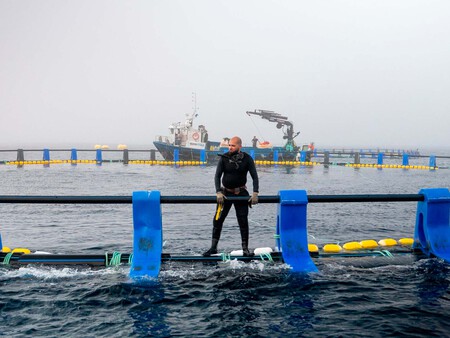 Pesca Atun Rojo Pais Vasco Pescador