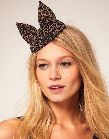 Los gatos invaden la ropa 