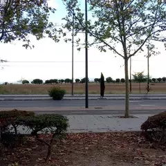 Foto 4 de 7 de la galería fotos-vernee-mars en Xataka Android