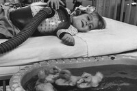 Esta fotografía fue publicada por LIFE Magazine en la década de 1950. Era parte de un reportaje sobre cómo los animales ayudaban a niños hospitalizados  