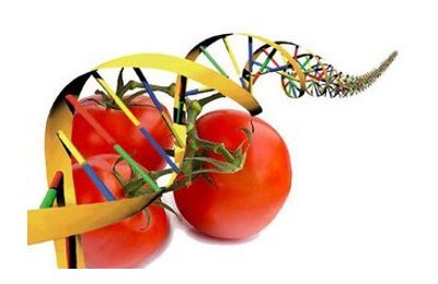 nutrigenomia