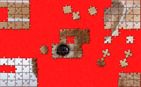 Cómo hacer un puzzle con nuestras fotografías en Adobe Photoshop