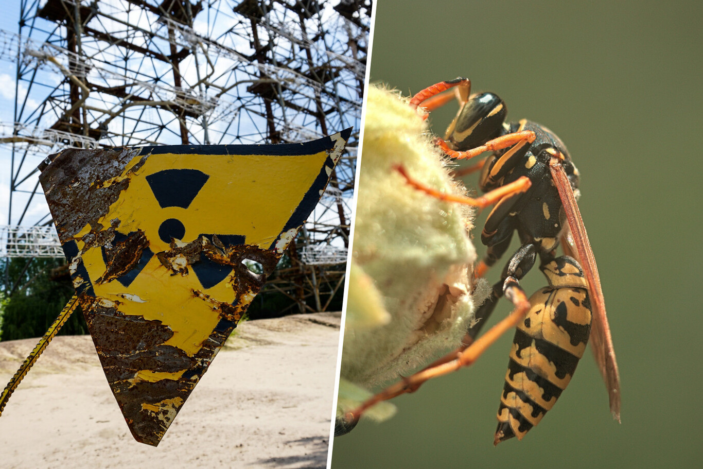 Laura sommaruga onlyfan Only fresh Laurasommaruga 