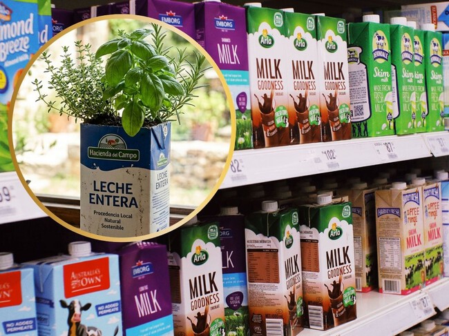 No los tires: 3 ideas prácticas para reutilizar los envases de cartón de la leche vacíos que tienes en casa y darles un nuevo uso