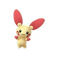 Plusle